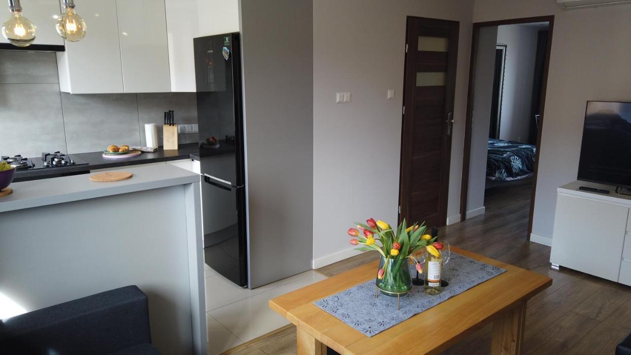 Apartament Bieszczady Apartment Ustrzyki Dolne Exterior photo